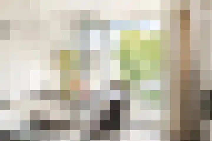 Gestelsestraat 10 Waalre thumbnail 44