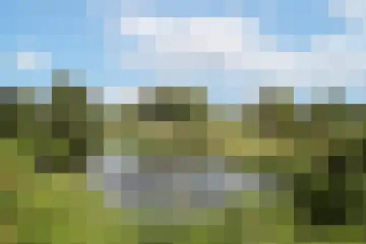 Gestelsestraat 10 Waalre thumbnail 47