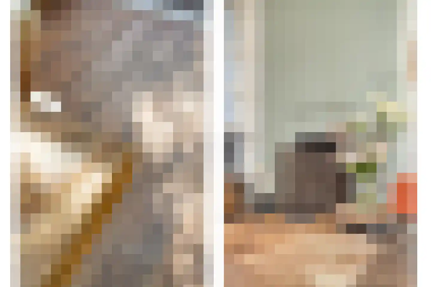 Gestelsestraat 103 Eindhoven thumbnail 15