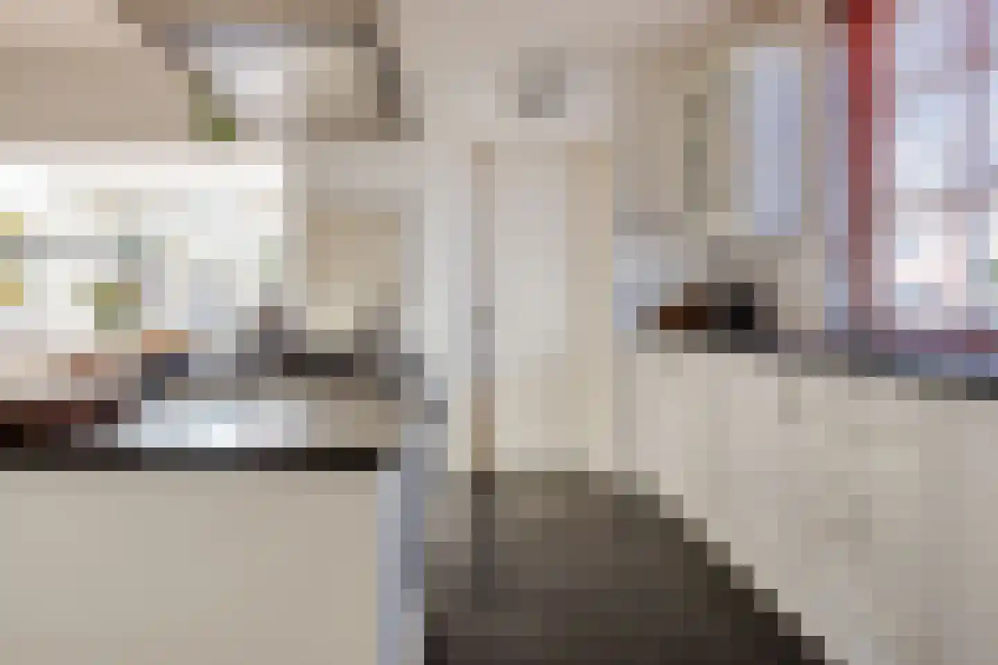Gestelsestraat 103 Eindhoven thumbnail 21