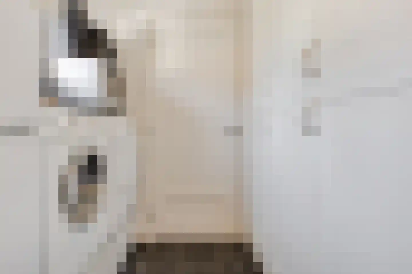 Gestelsestraat 103 Eindhoven thumbnail 24