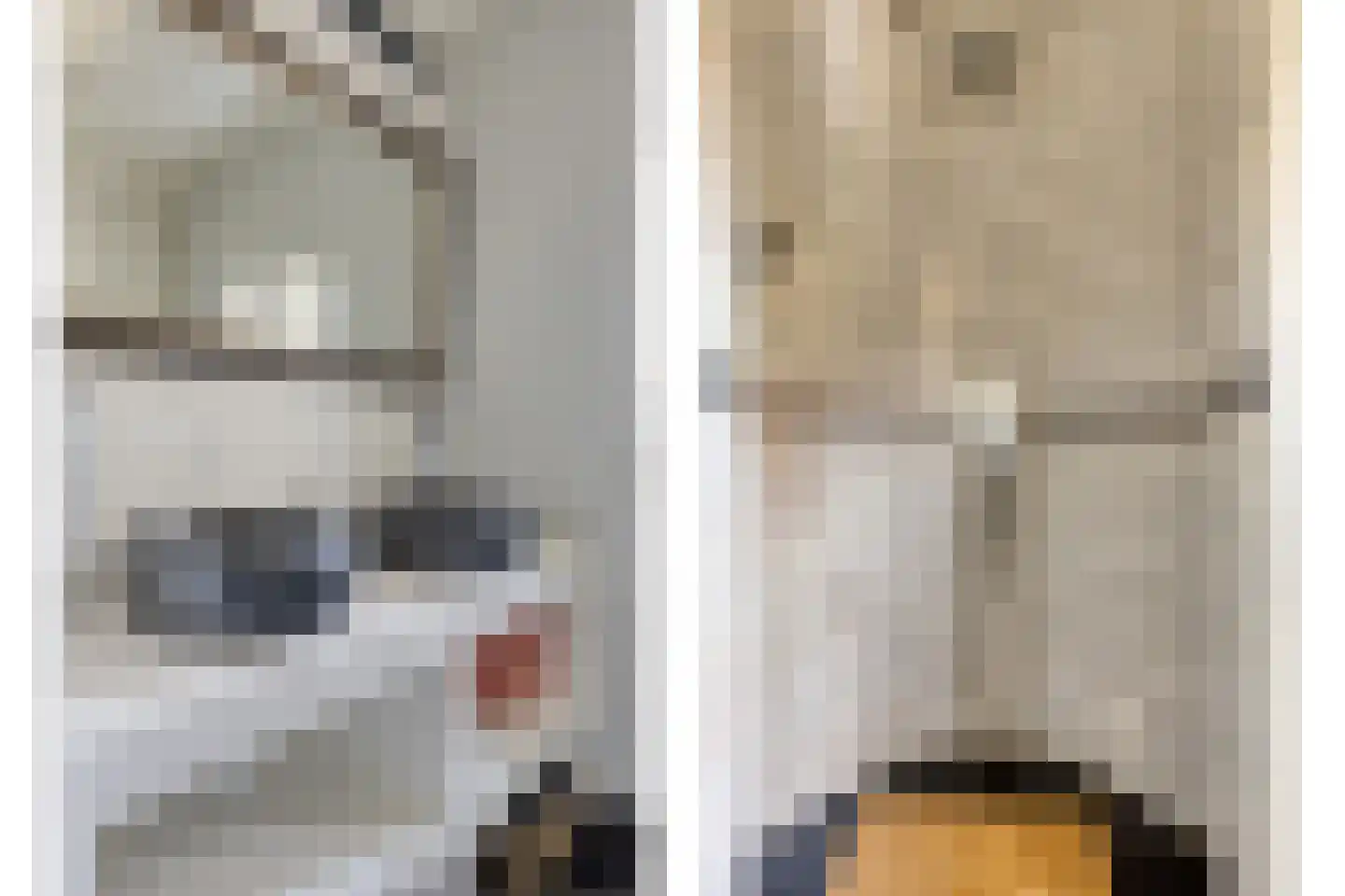 Gestelsestraat 103 Eindhoven thumbnail 34