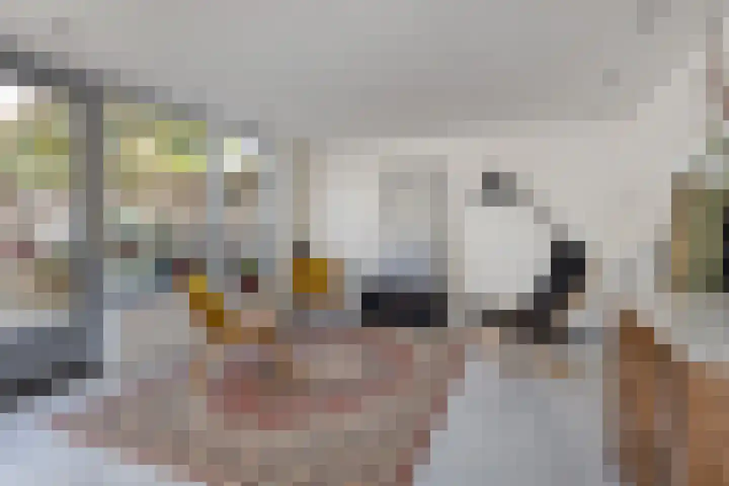 Gestelsestraat 103 Eindhoven thumbnail 44