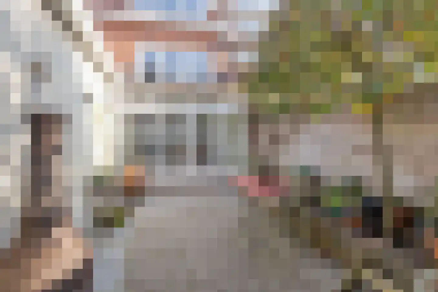 Gestelsestraat 103 Eindhoven thumbnail 54