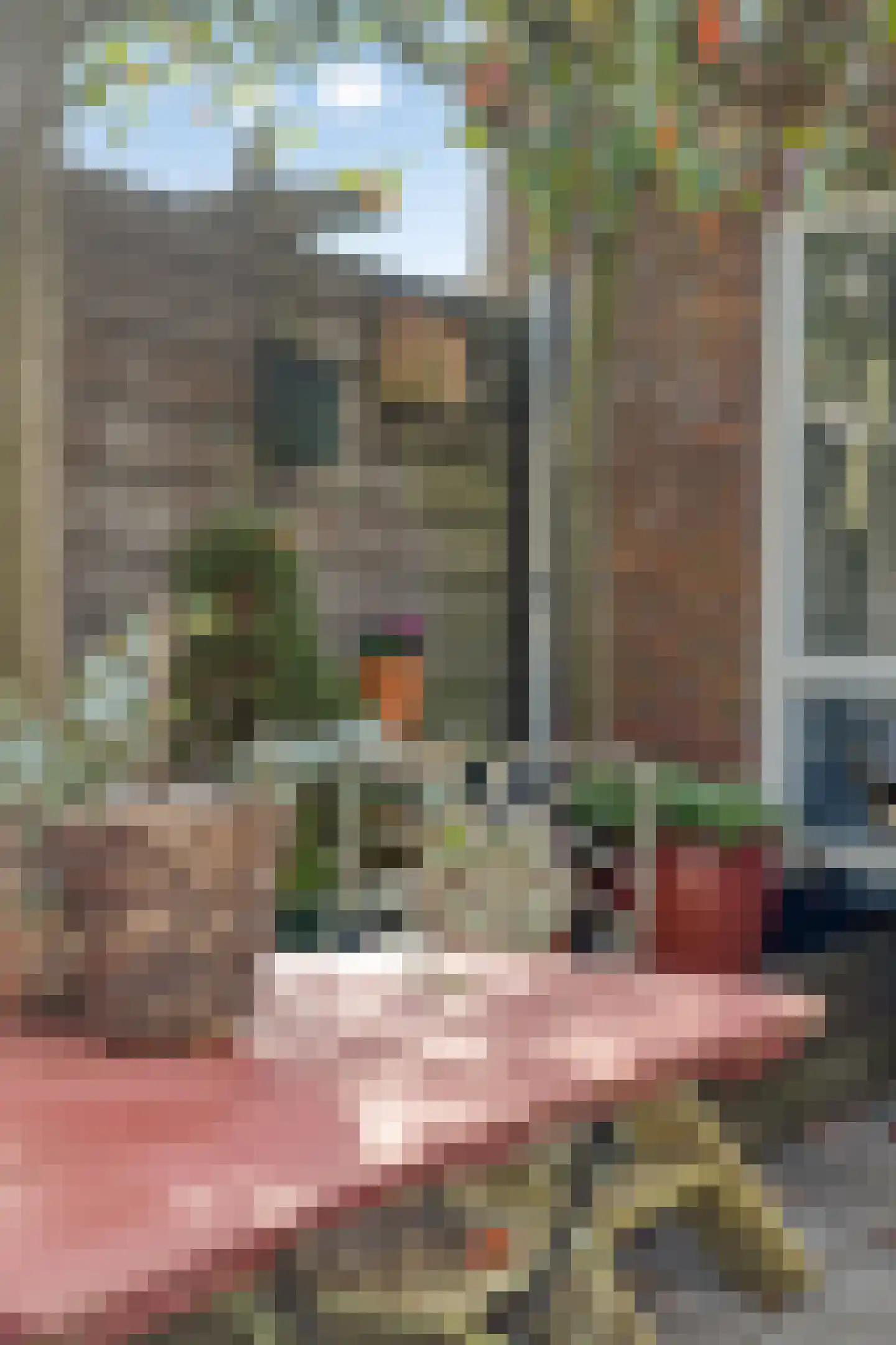 Gestelsestraat 103 Eindhoven thumbnail 57