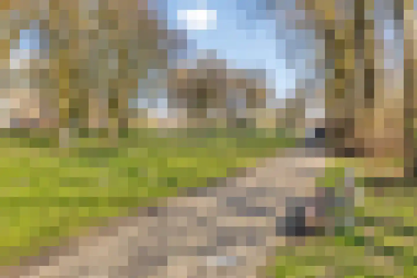 Gestelsestraat 103 Eindhoven thumbnail 61
