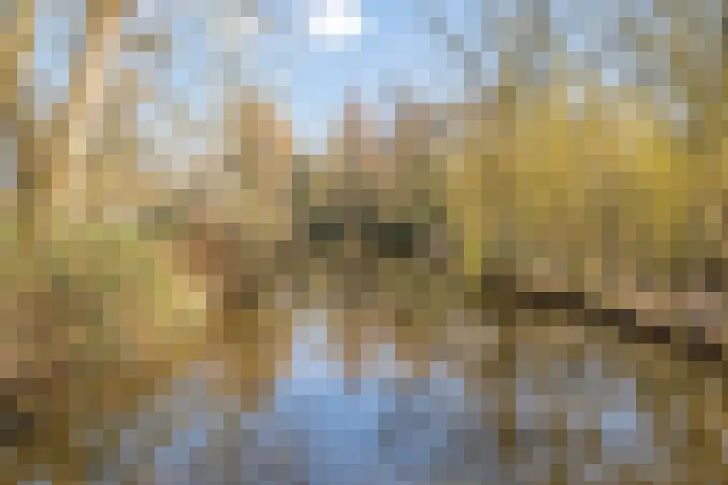 Gestelsestraat 103 Eindhoven thumbnail 62