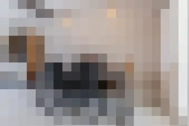 Gestelsestraat 109 Eindhoven thumbnail 10