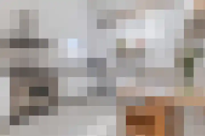 Gestelsestraat 109 Eindhoven thumbnail 13
