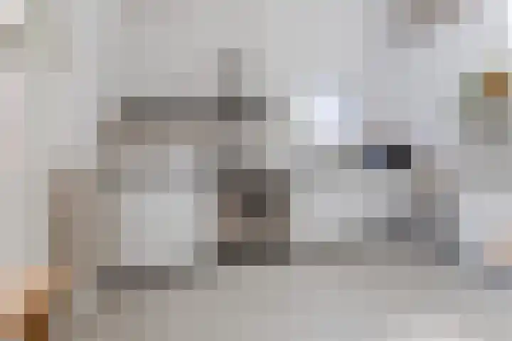 Gestelsestraat 109 Eindhoven thumbnail 14