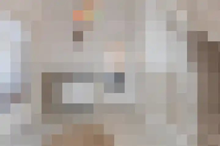 Gestelsestraat 109 Eindhoven thumbnail 22