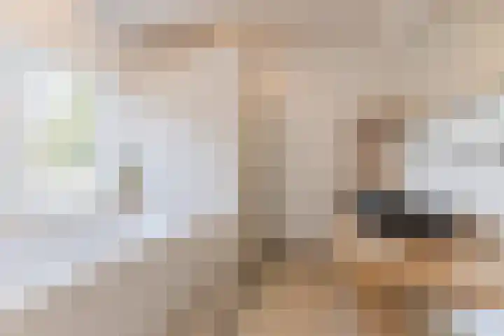 Gestelsestraat 109 Eindhoven thumbnail 33