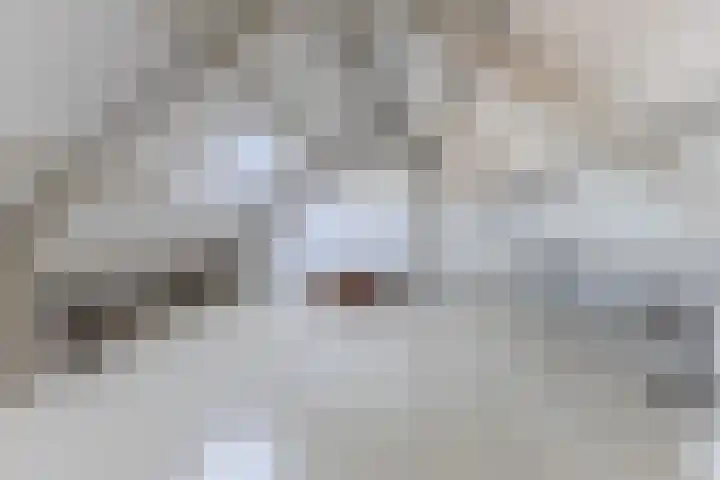 Gestelsestraat 109 Eindhoven thumbnail 37