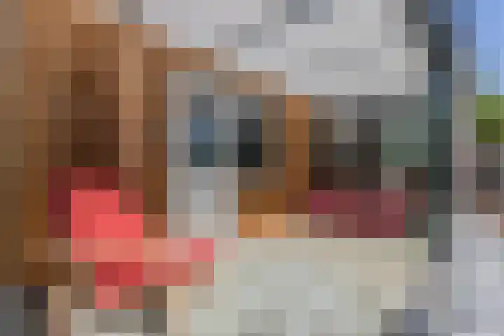 Gestelsestraat 109 Eindhoven thumbnail 43