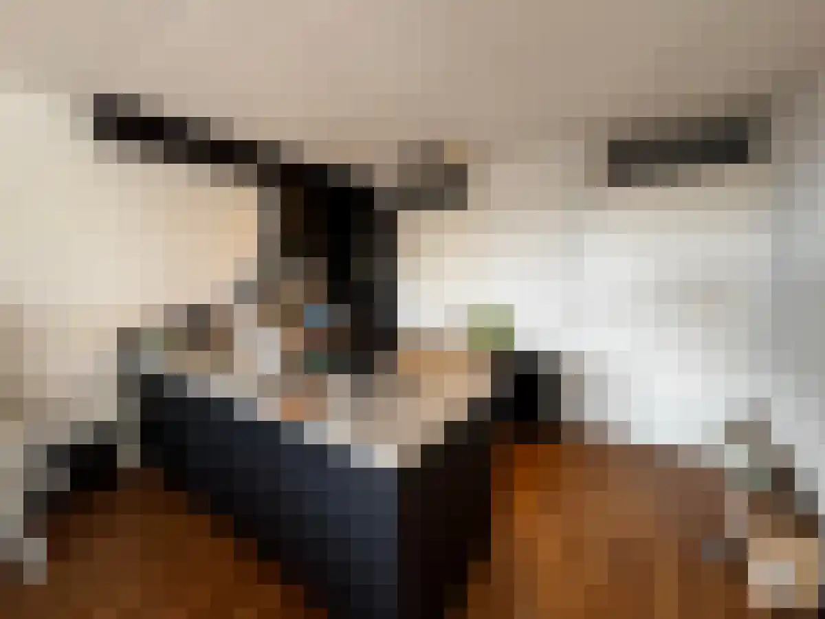 Gestelsestraat 14 Eindhoven thumbnail 6