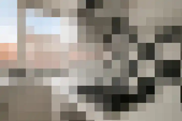 Gestelsestraat 17 A Eindhoven thumbnail 12