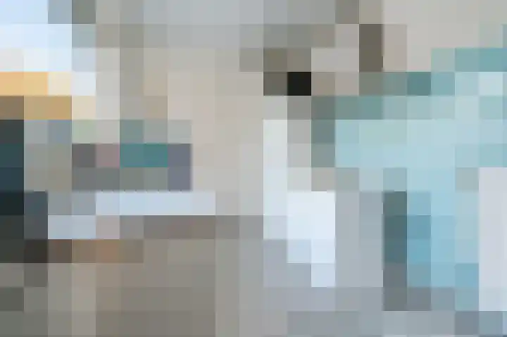 Gestelsestraat 170 B Eindhoven thumbnail 20