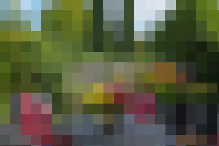 Gestelsestraat 177 Eindhoven thumbnail 26