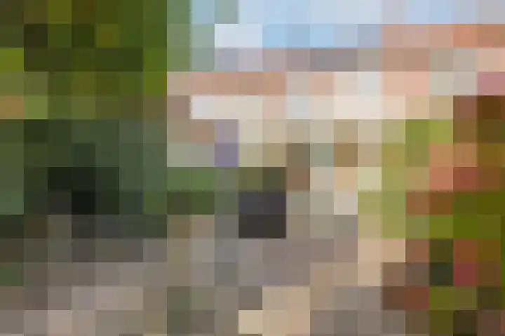 Gestelsestraat 177 Eindhoven thumbnail 27