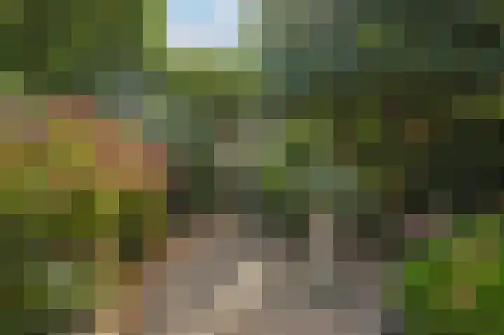 Gestelsestraat 177 Eindhoven thumbnail 28