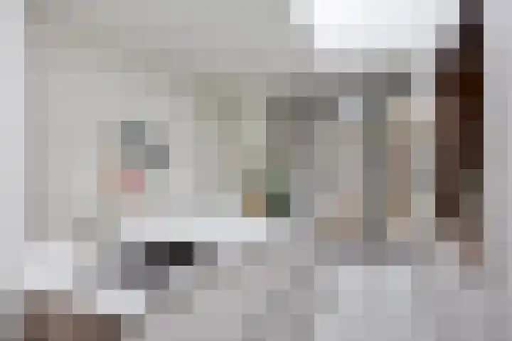 Gestelsestraat 193 Eindhoven thumbnail 16