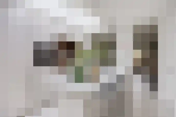 Gestelsestraat 193 Eindhoven thumbnail 17