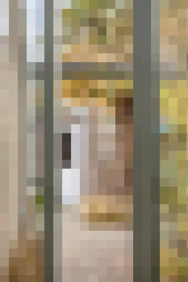 Gestelsestraat 193 Eindhoven thumbnail 21