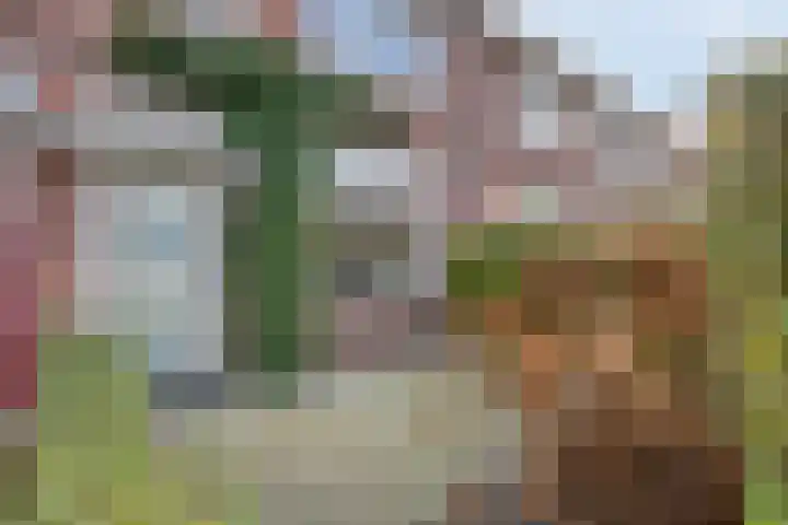 Gestelsestraat 193 Eindhoven thumbnail 7