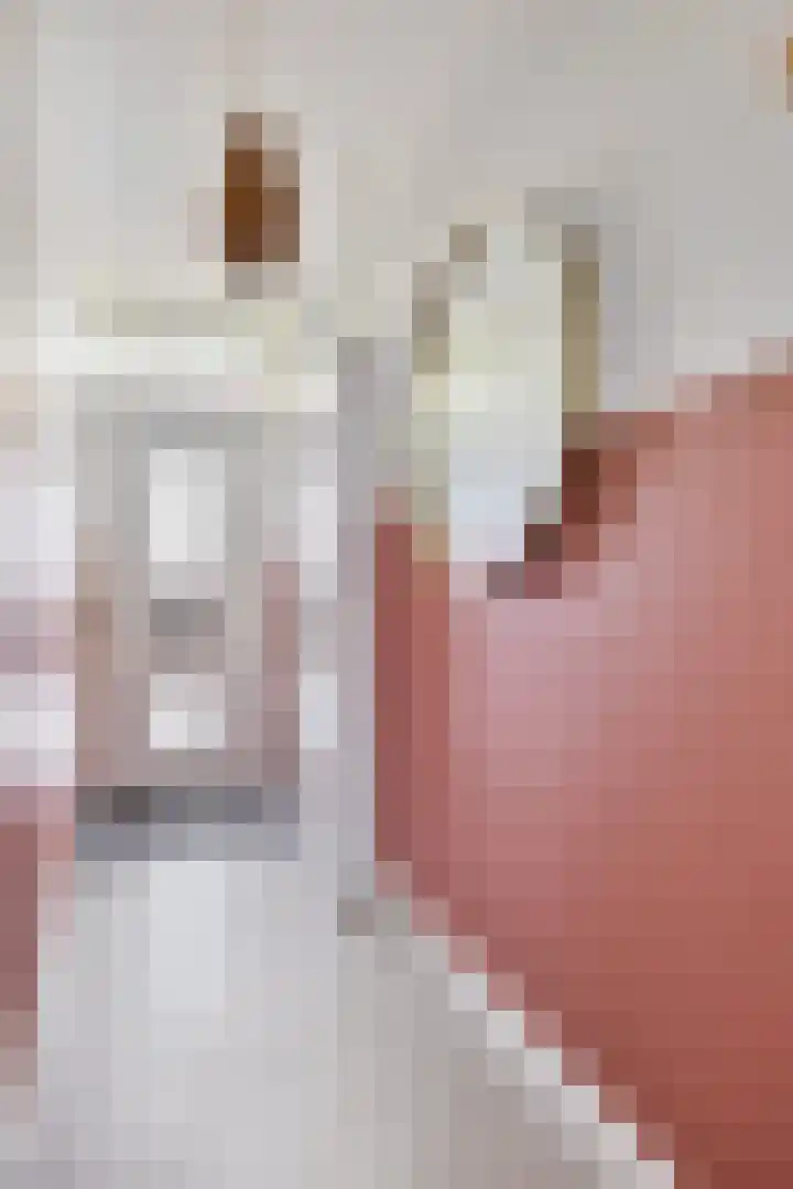 Gestelsestraat 193 Eindhoven thumbnail 8