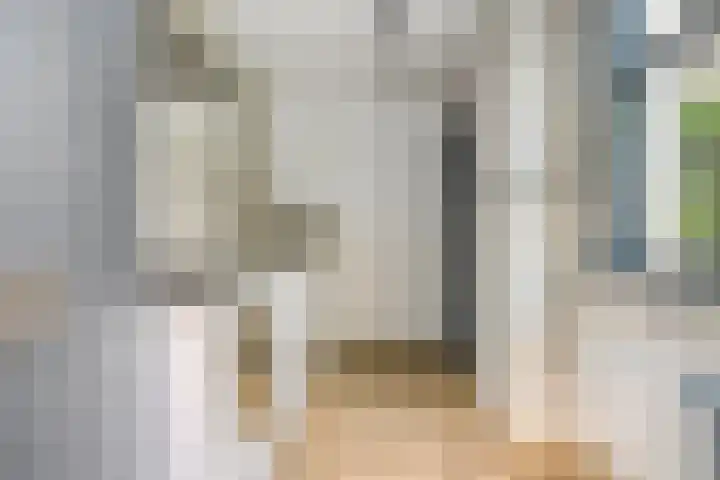 Gestelsestraat 213 Eindhoven thumbnail 16