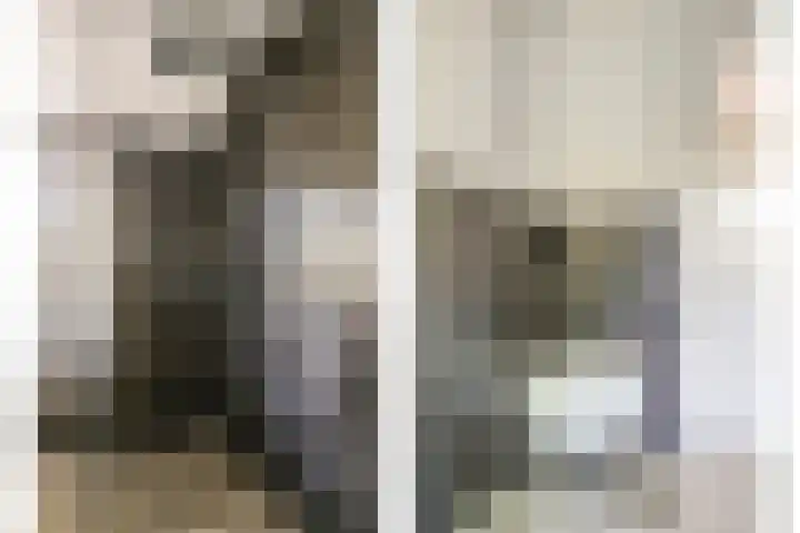 Gestelsestraat 213 Eindhoven thumbnail 19