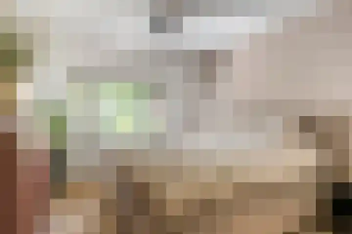 Gestelsestraat 213 Eindhoven thumbnail 21