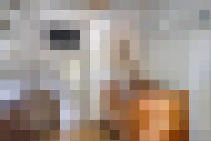 Gestelsestraat 213 Eindhoven thumbnail 26