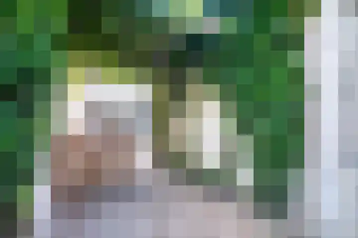 Gestelsestraat 213 Eindhoven thumbnail 31