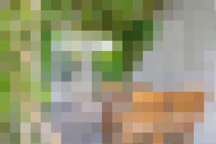 Gestelsestraat 213 Eindhoven thumbnail 32