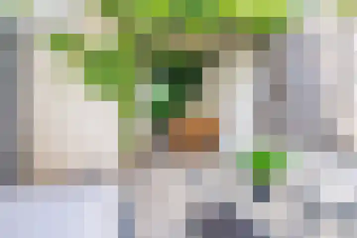 Gestelsestraat 213 Eindhoven thumbnail 33