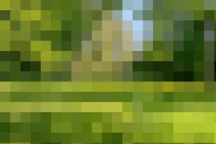 Gestelsestraat 213 Eindhoven thumbnail 35