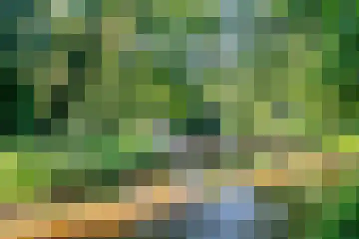 Gestelsestraat 213 Eindhoven thumbnail 36