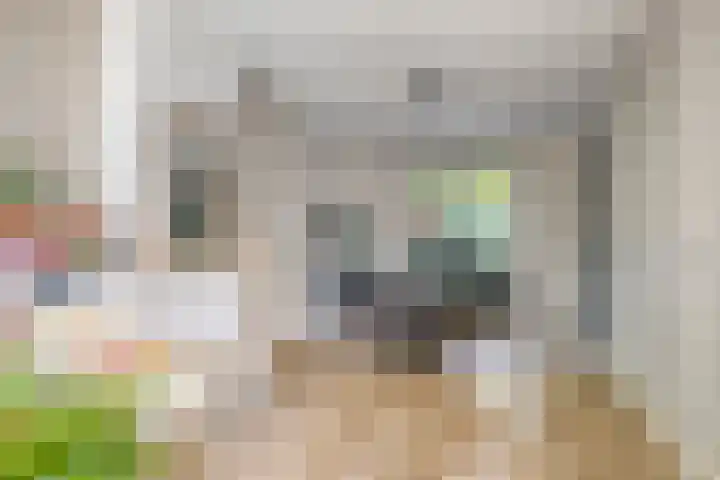 Gestelsestraat 213 Eindhoven thumbnail 7