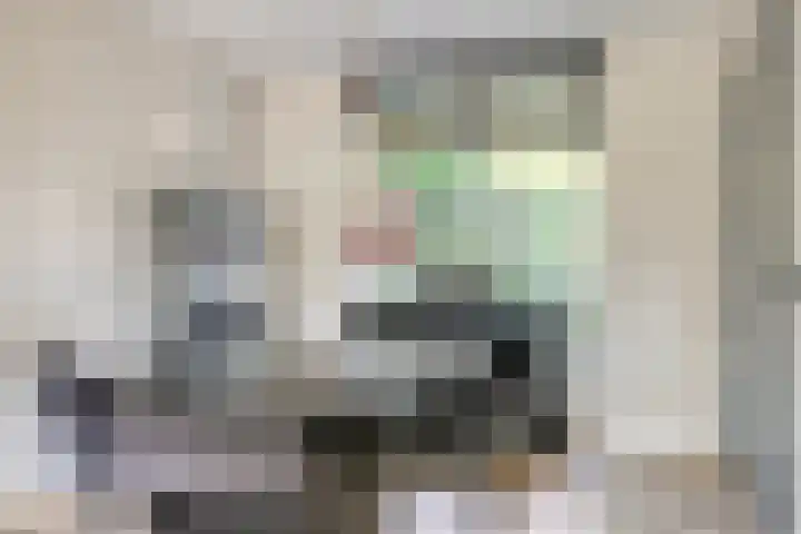 Gestelsestraat 213 Eindhoven thumbnail 9