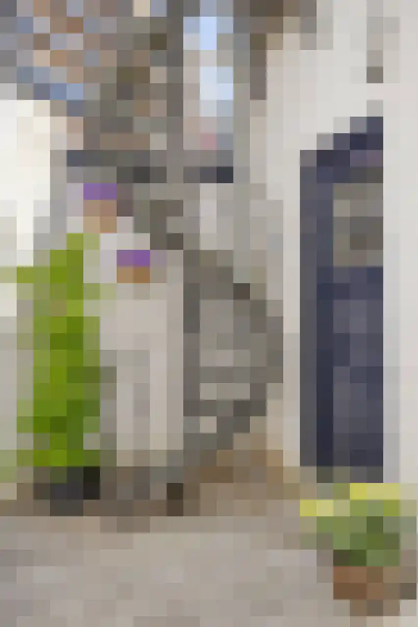 Gestelsestraat 25 A 01 Eindhoven thumbnail 31