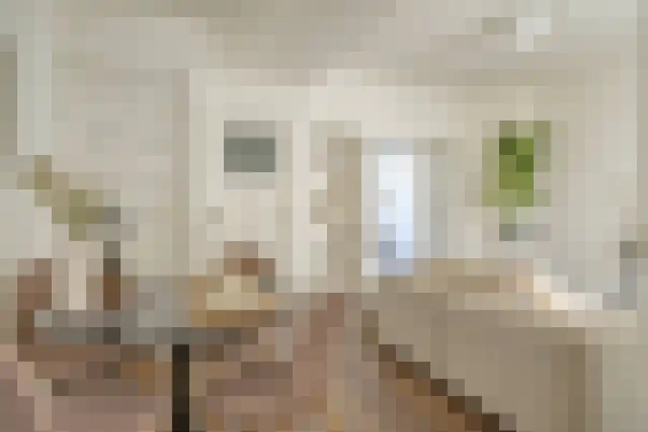 Gestelsestraat 25 A 01 Eindhoven thumbnail 5