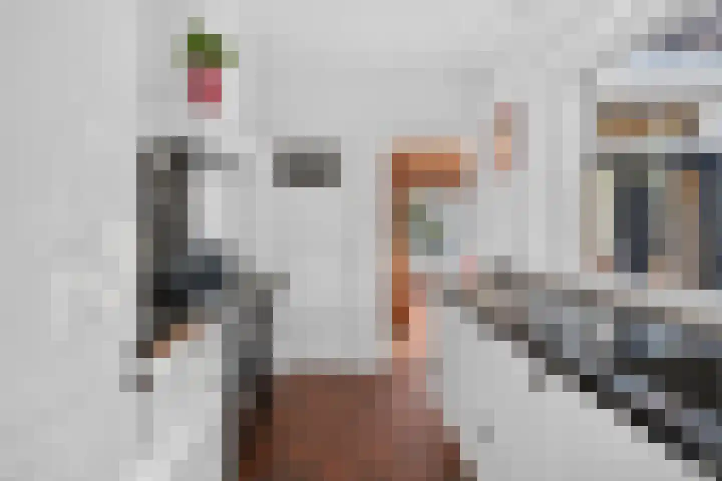 Gestelsestraat 256 C Eindhoven thumbnail 13