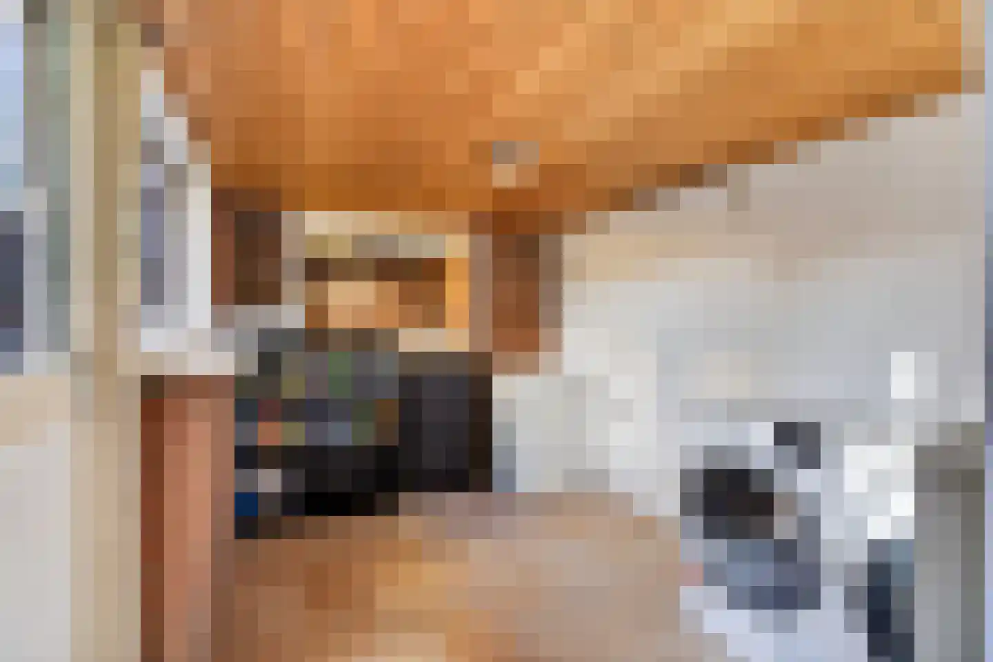 Gestelsestraat 256 C Eindhoven thumbnail 18