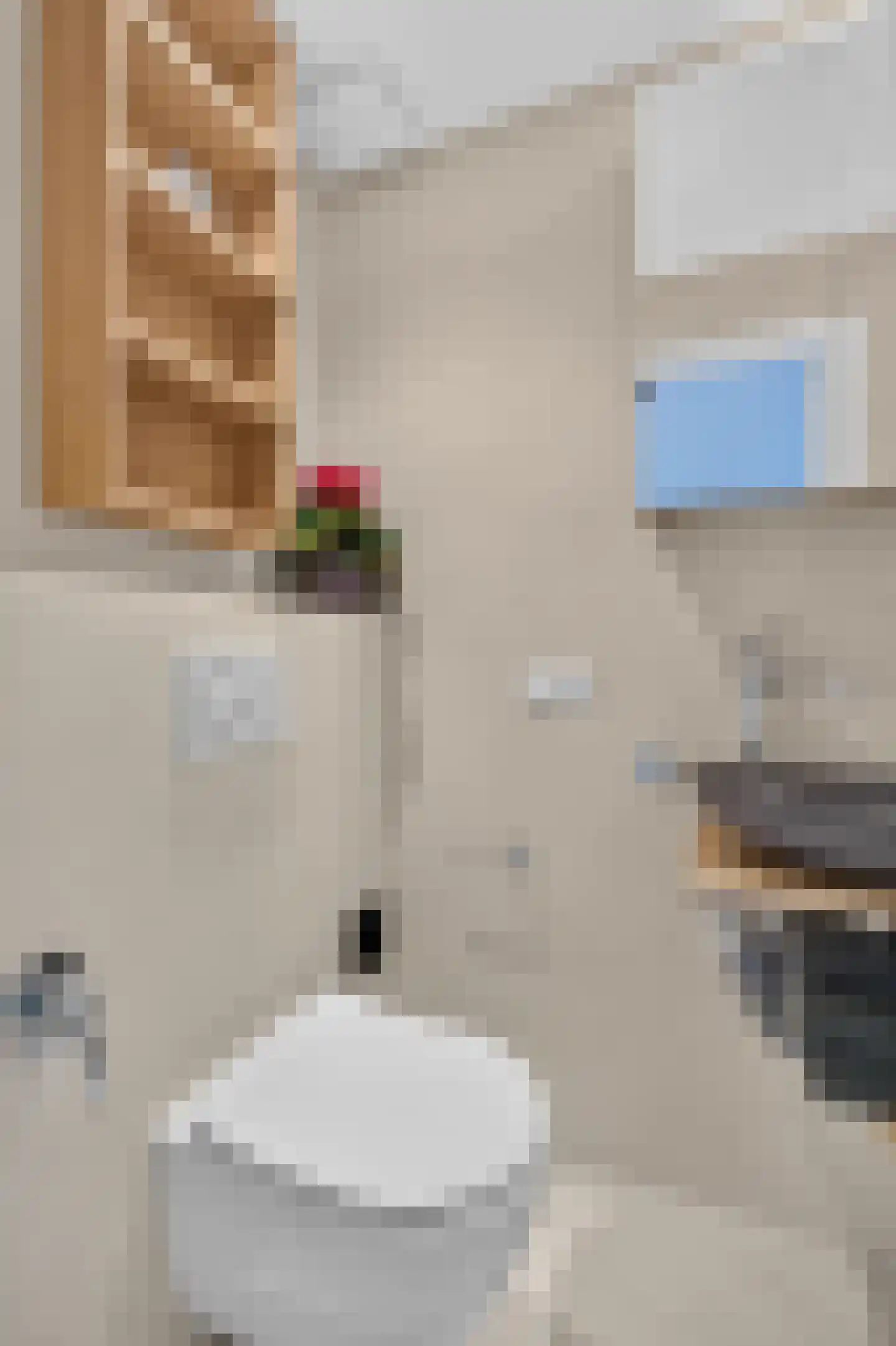 Gestelsestraat 256 C Eindhoven thumbnail 19