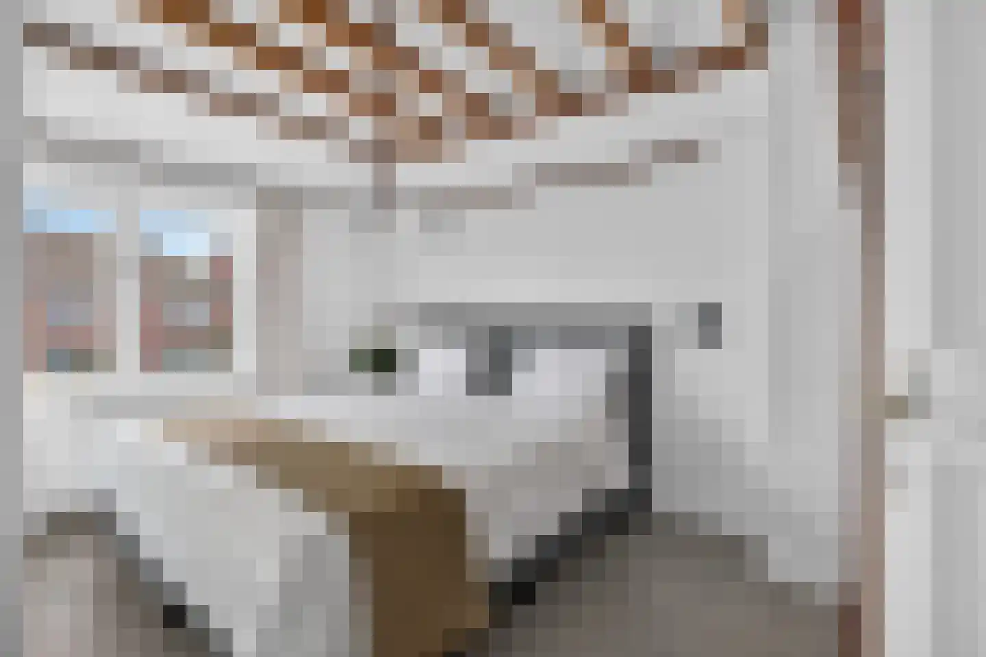 Gestelsestraat 256 C Eindhoven thumbnail 21