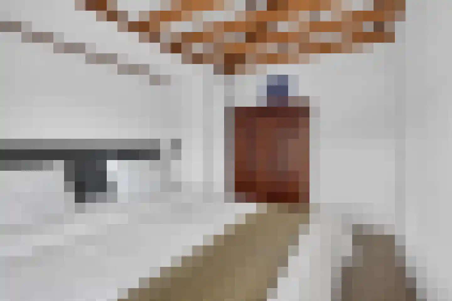 Gestelsestraat 256 C Eindhoven thumbnail 22
