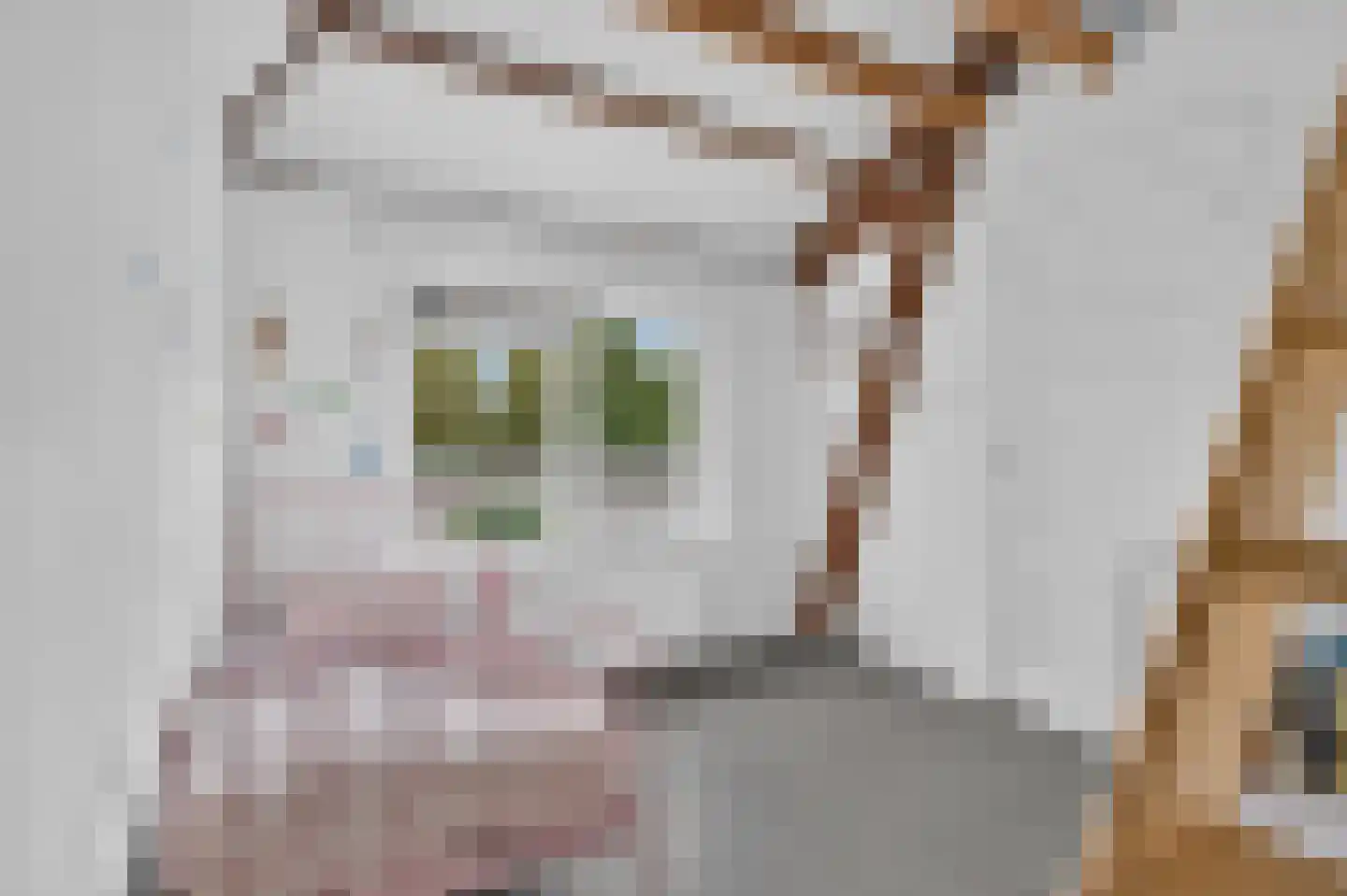 Gestelsestraat 256 C Eindhoven thumbnail 24