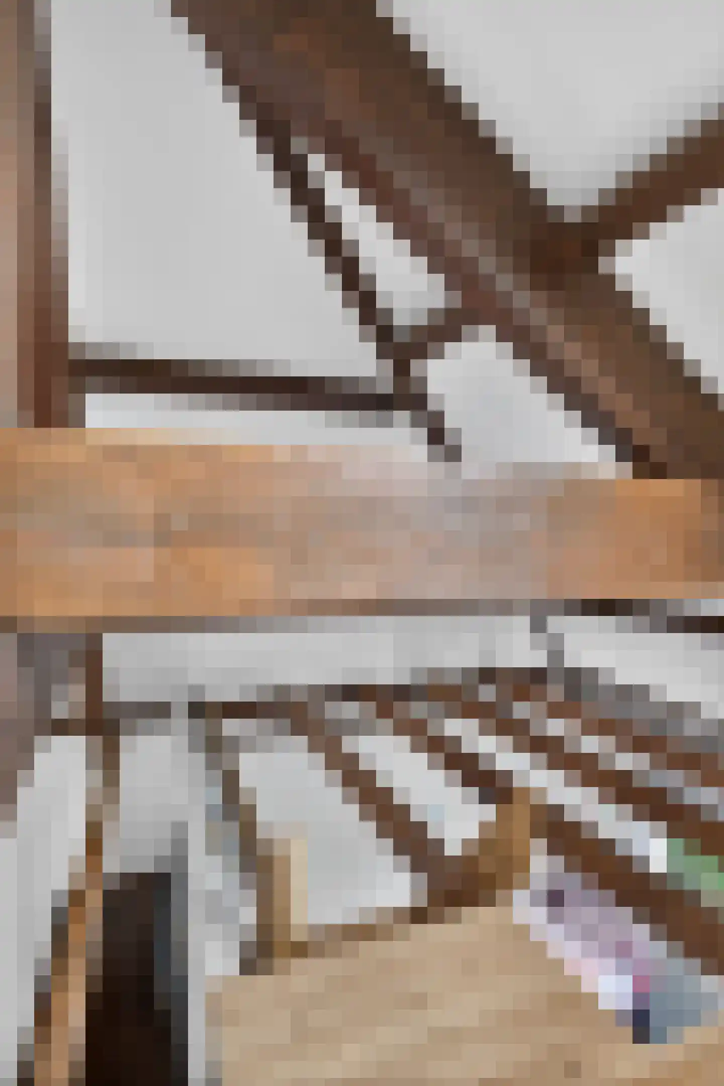 Gestelsestraat 256 C Eindhoven thumbnail 26