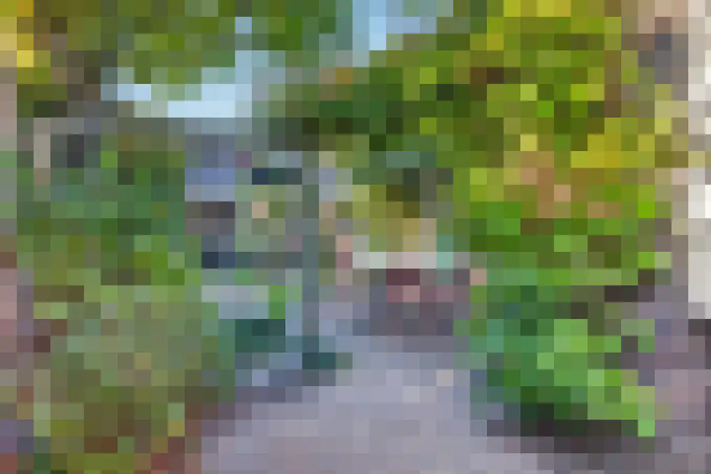Gestelsestraat 256 C Eindhoven thumbnail 33